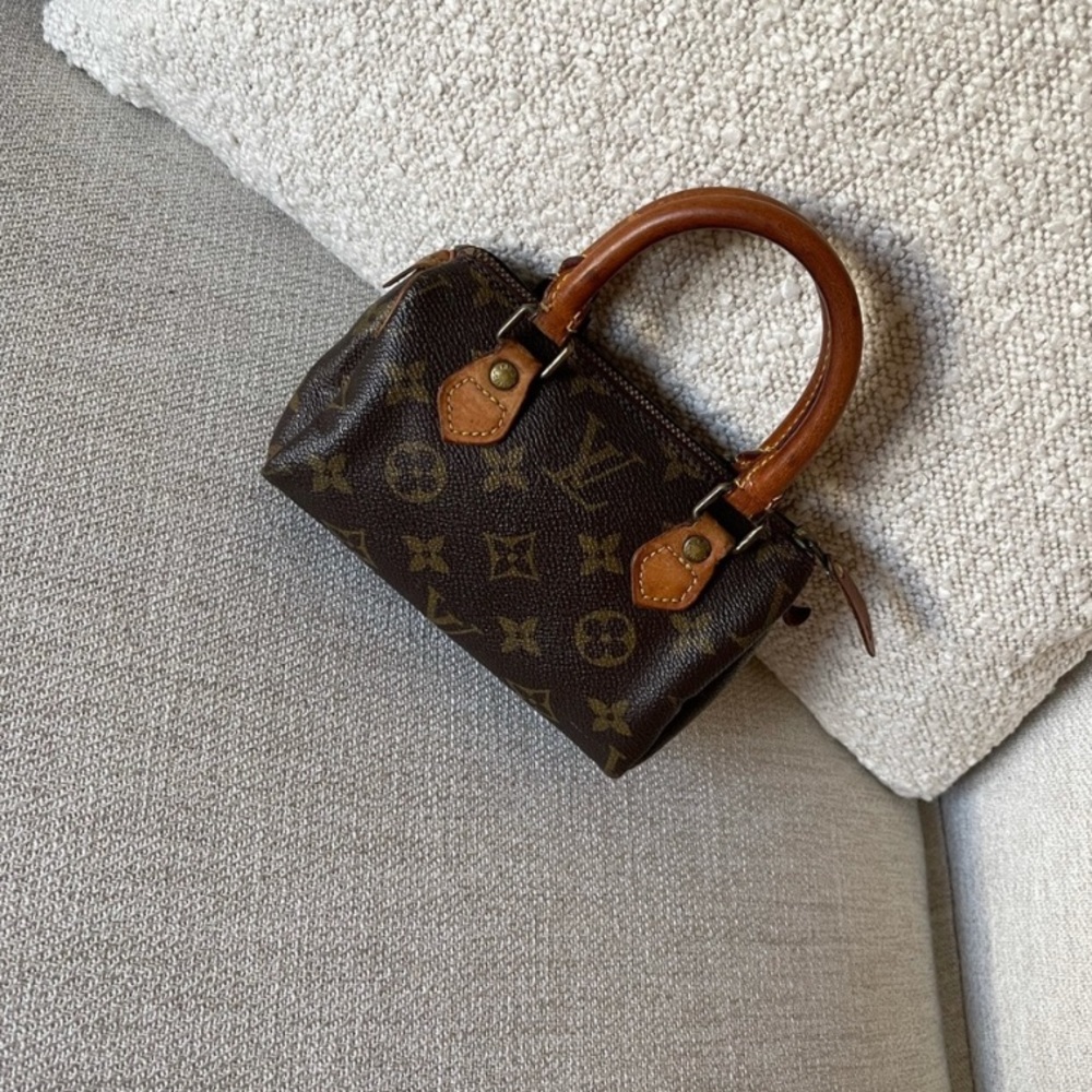 LOUIS VUITTON SPEEDY NAMO